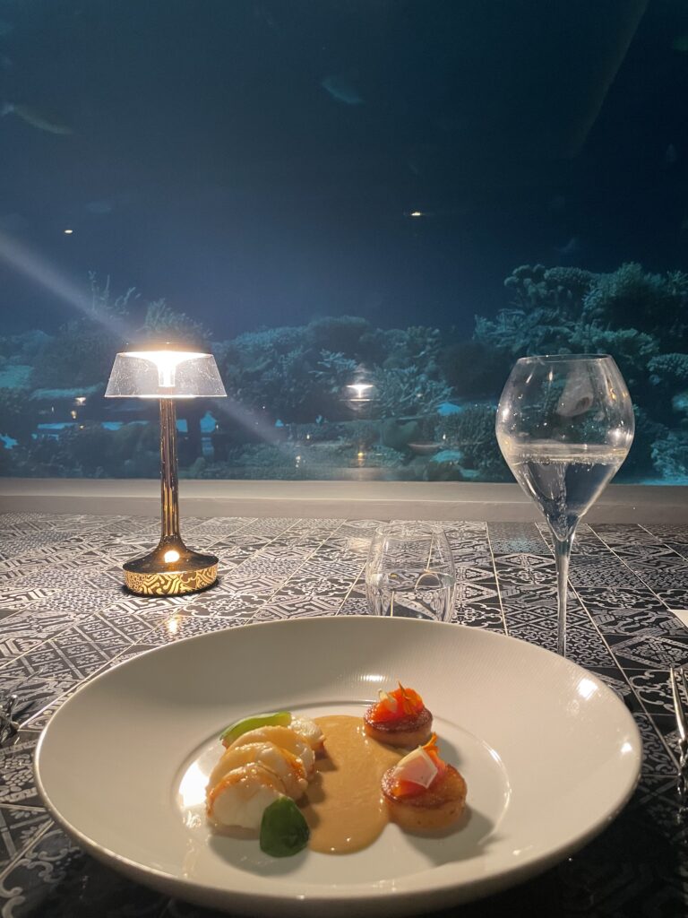 You & Me Maldivesの水中レストランで味わった夜の料理
