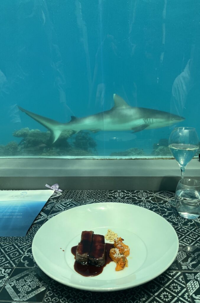 水中レストランで見えたサメと昼の料理